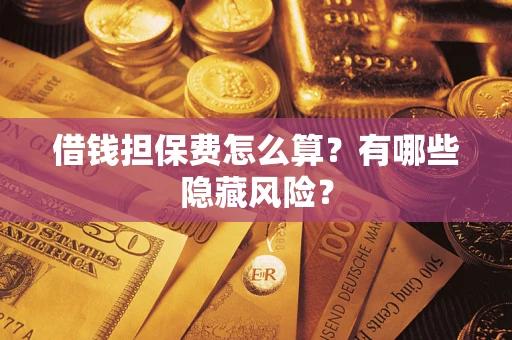 武汉借钱担保费怎么算？有哪些隐藏风险？