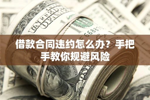 武汉借款合同违约怎么办？手把手教你规避风险