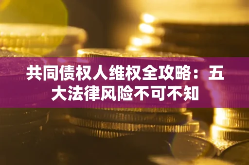 武汉共同债权人维权全攻略：五大法律风险不可不知