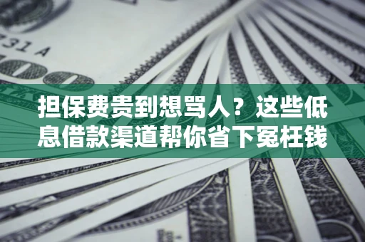 武汉担保费贵到想骂人？这些低息借款渠道帮你省下冤枉钱