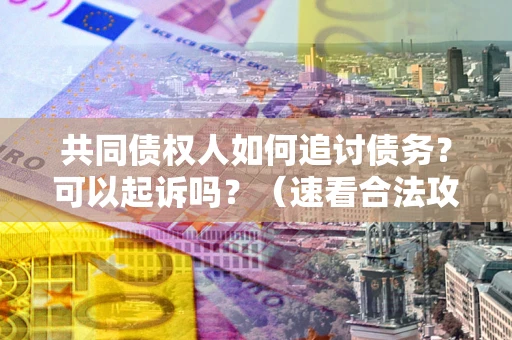 武汉共同债权人如何追讨债务？可以起诉吗？（速看合法攻略）
