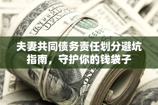 武汉夫妻共同债务责任划分避坑指南，守护你的钱袋子