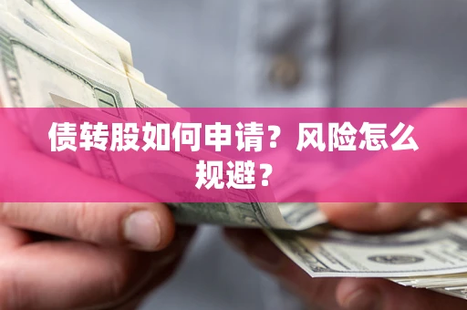 武汉债转股如何申请？风险怎么规避？