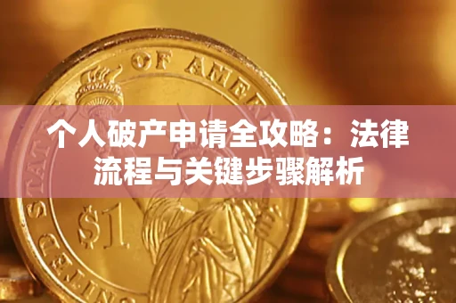 武汉个人破产申请全攻略：法律流程与关键步骤解析