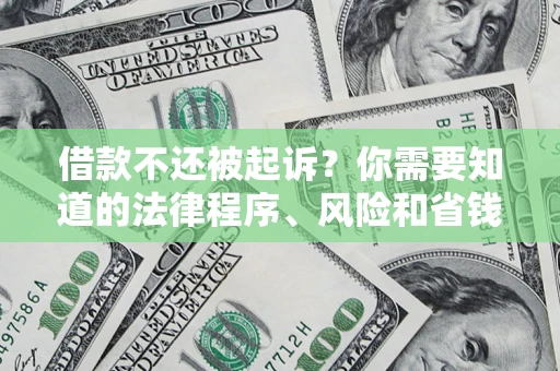 武汉借款不还被起诉？你需要知道的法律程序、风险和省钱技巧