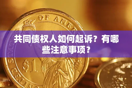 武汉共同债权人如何起诉？有哪些注意事项？