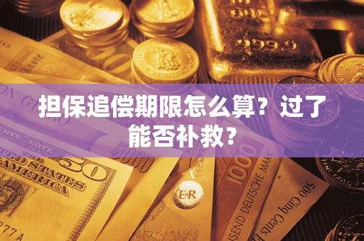 武汉担保追偿期限怎么算？过了能否补救？